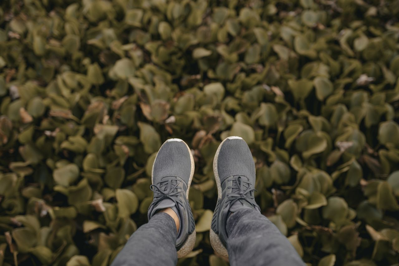 Allbirds Marketing Strategy (2026)